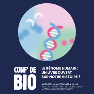 Le génome humain : un livre ouvert sur notre histoire ?